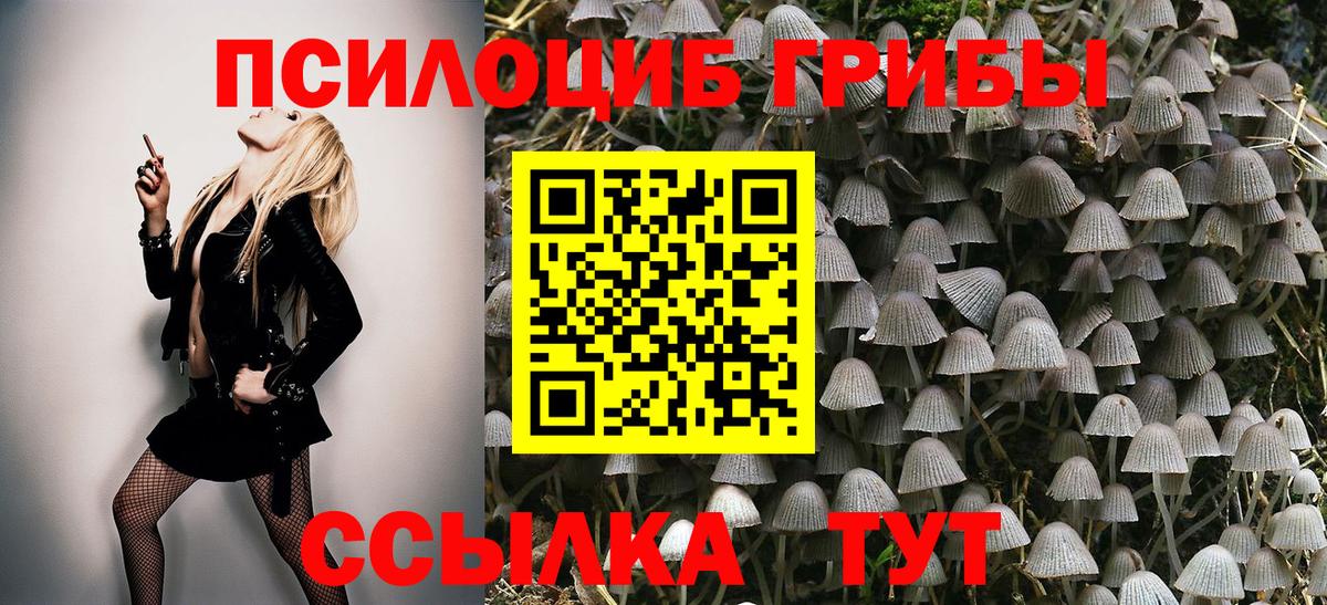 Псилоцибиновые грибы мухоморы Амурск