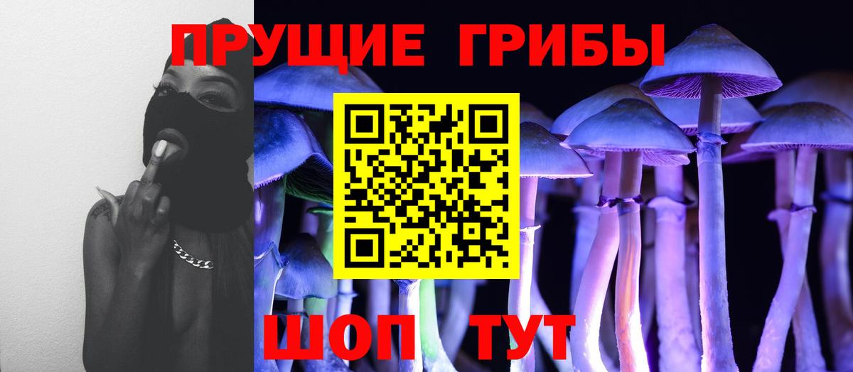 Псилоцибиновые грибы прущие грибы  купить   Вход с VPN  Амурск  Галлюциногенные грибы GOLDEN TEACHER 